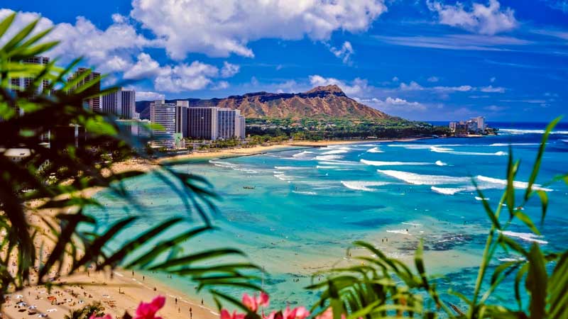 view of Hawaii buildings near the beach