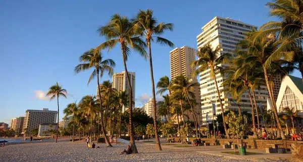Waikiki Beach Front