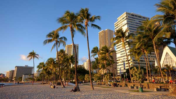 Waikiki Beach Front