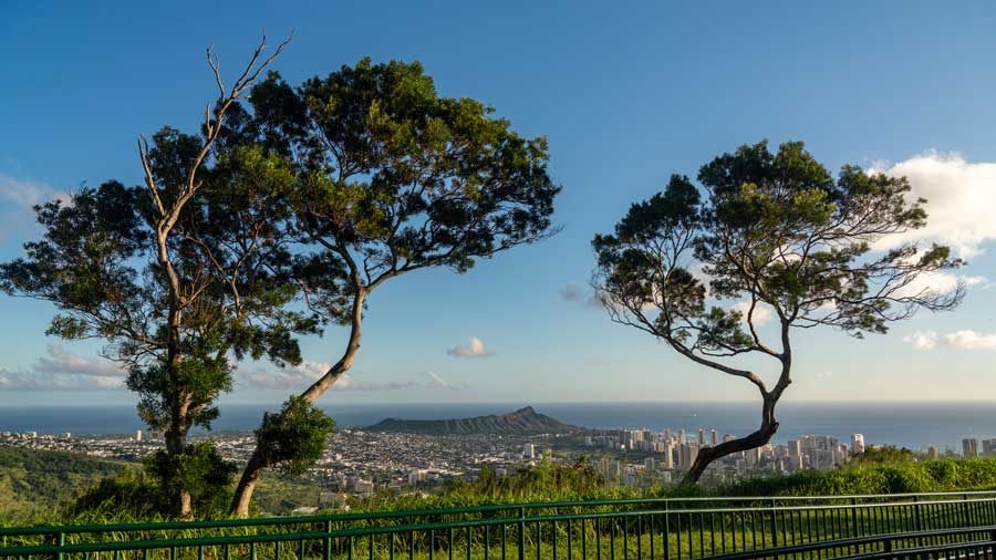 view of Waikiki and Honolulu from Tantalus