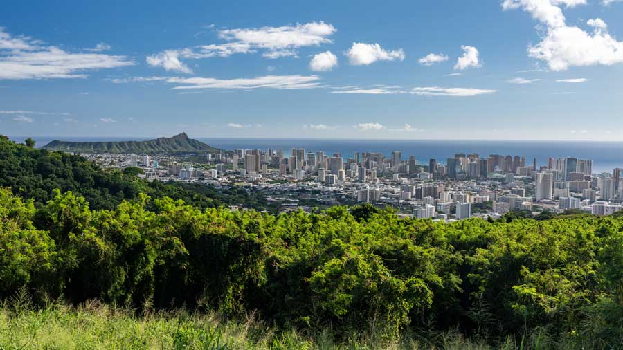 view of Waikiki and Honolulu from Tantalus