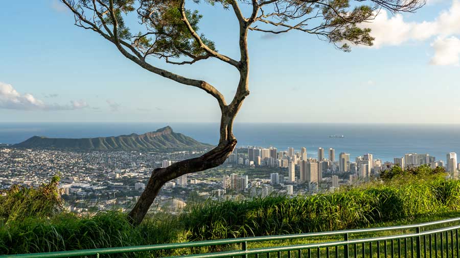 view of Waikiki and Honolulu from Tantalus